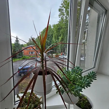 Liepu Gatve * Klaipėda