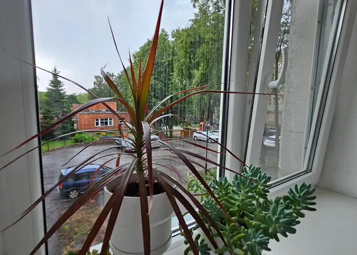 Liepu Gatve * Klaipėda